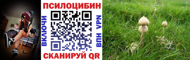 Псилоцибиновые грибы Psilocybine cubensis  Купить закладки  Шимановск